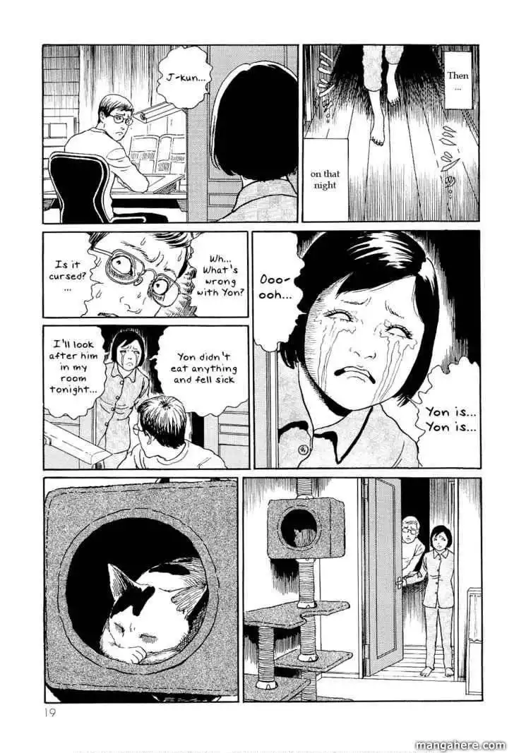 Ito Junji's Cat Diary Chapter 2 7